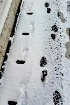 雪の降った道 雪の降った道 雪,足跡,歩道の写真素材
