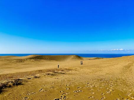 鳥取砂丘 鳥取,鳥取砂丘,鳥取県の写真素材