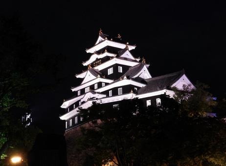 ライトアップされた岡山城天守閣 ライトアップされた岡山城天守閣の写真