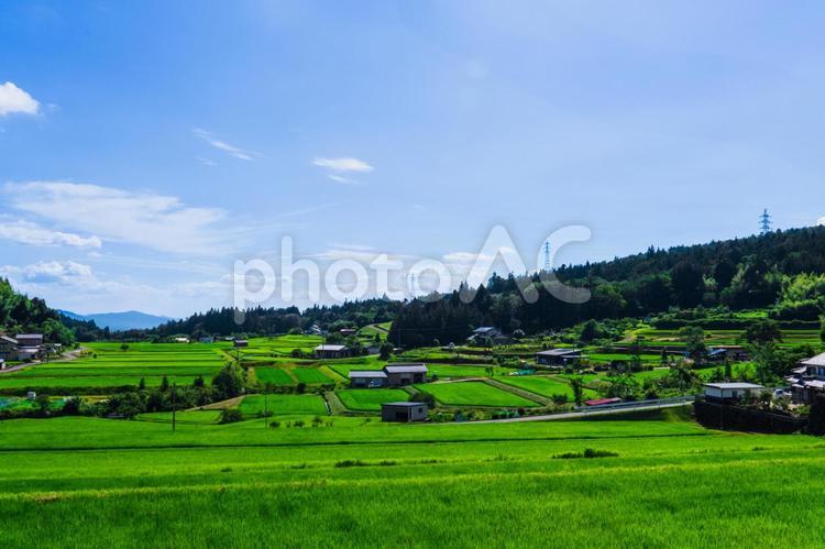 田舎の景色 田舎,自然,緑の写真素材