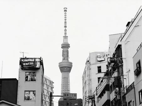 スカイツリー スカイツリー 塔,タワー,浅草の写真素材