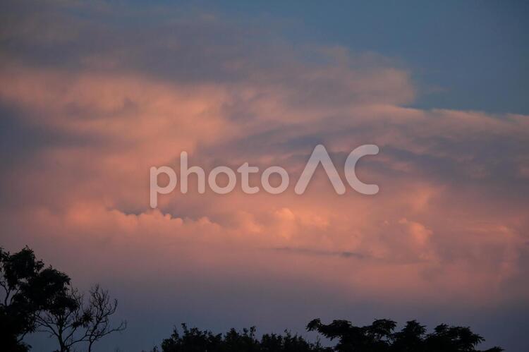夕暮れ時の雲 雲,夕暮れ時,積乱雲の写真素材