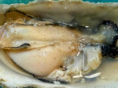 ぷっくりとした炉端焼きの牡蠣 牡蠣,カキ,炉端焼きの写真素材