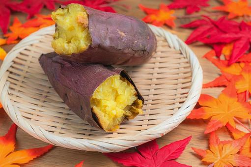 紅葉と焼き芋 (シルクスイート) 焼き芋,シルクスイート,さつまいもの写真素材