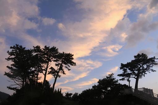 Evening view from Koganezaki Park, JPG