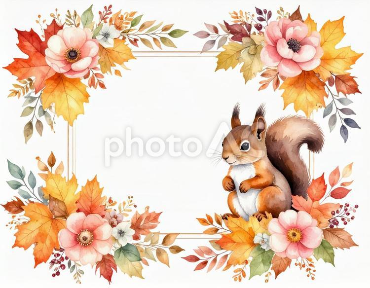 リスと落ち葉のフレーム 動物,リス,小動物の写真素材