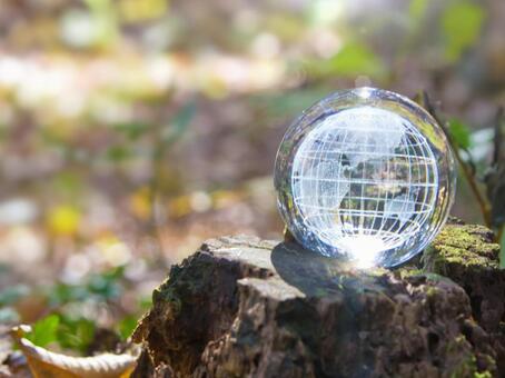 エコイメージ-ガラスの地球儀と切り株 エコ,地球儀,環境の写真素材