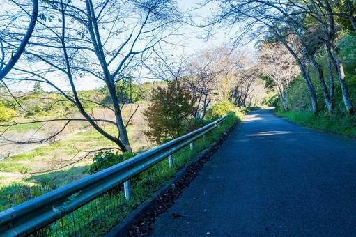 静岡県菊川市　千框(せんがまち)の棚田の写真