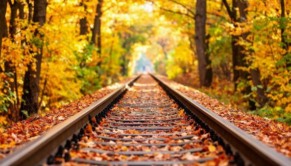 紅葉と線路 紅葉と線路の写真