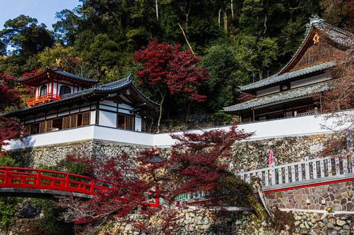 紅葉風景 紅葉風景,紅葉,箕面の写真素材