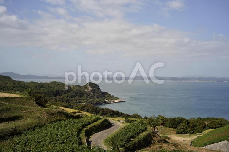 水平線と田舎道 水平線,道,海岸の写真素材