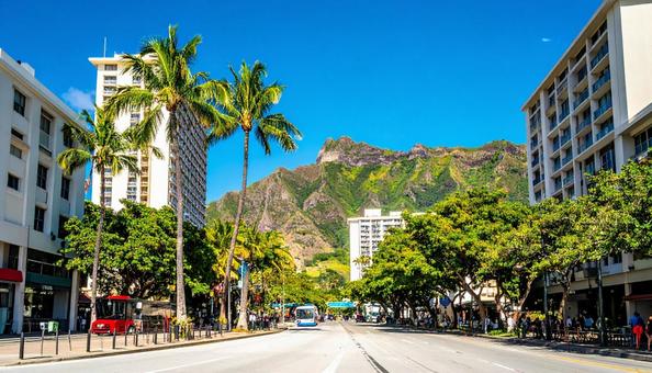 海外の南国の通りの写真