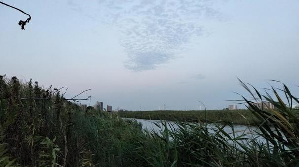 川辺とまだら雲の写真
