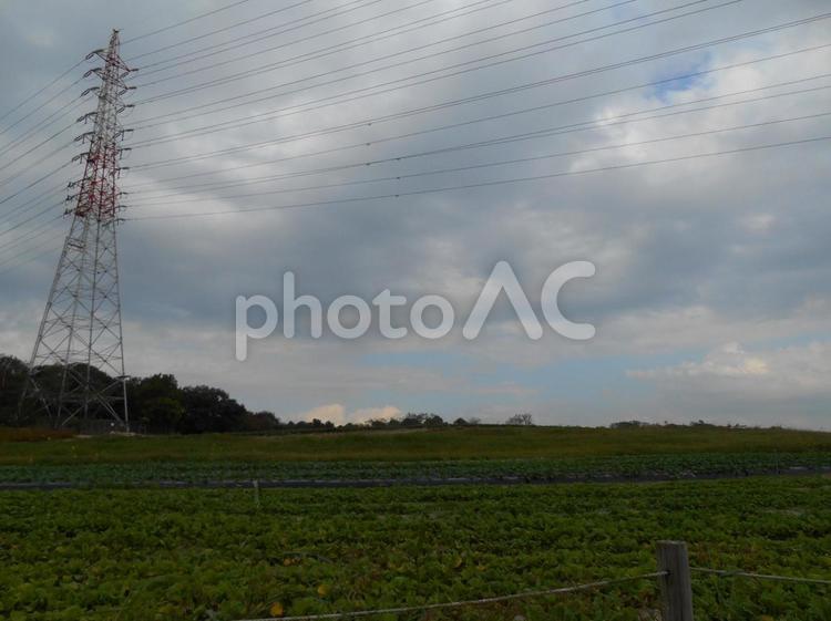 鉄塔と畑 鉄塔,電気,電波の写真素材