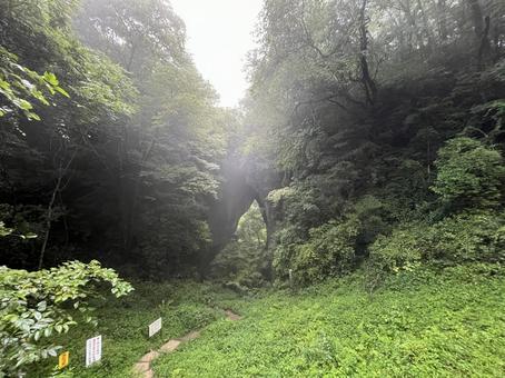 羅生門 羅生門の写真