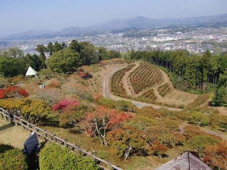笠間つつじ公園-23 笠間つつじ公園-23 笠間つつじ公園,茨城県笠間市,公園の写真素材