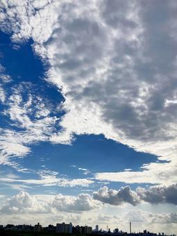 夏空 夏空の写真