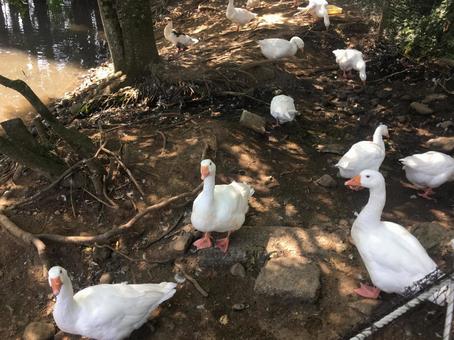熱海姫の沢公園 熱海姫の沢公園 静岡,熱海,公園の写真素材