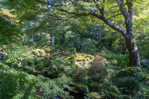 京都 大原三千院 聚碧園 京都 大原三千院 聚碧園 三千院,門跡寺院,大原の写真素材