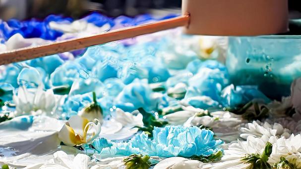 水面に浮かぶ花々 水面に浮かぶ花々の写真
