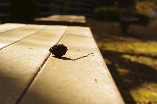 松ぼっくり ベンチ,夕方,松ぼっくりの写真素材