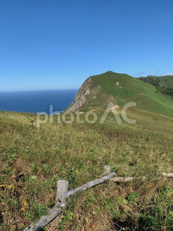 礼文島ハイキングコースにて 礼文島,ハイキング,草原の写真素材