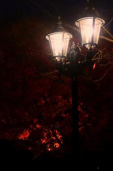 紅葉 ガス灯 紅葉 ガス灯の写真