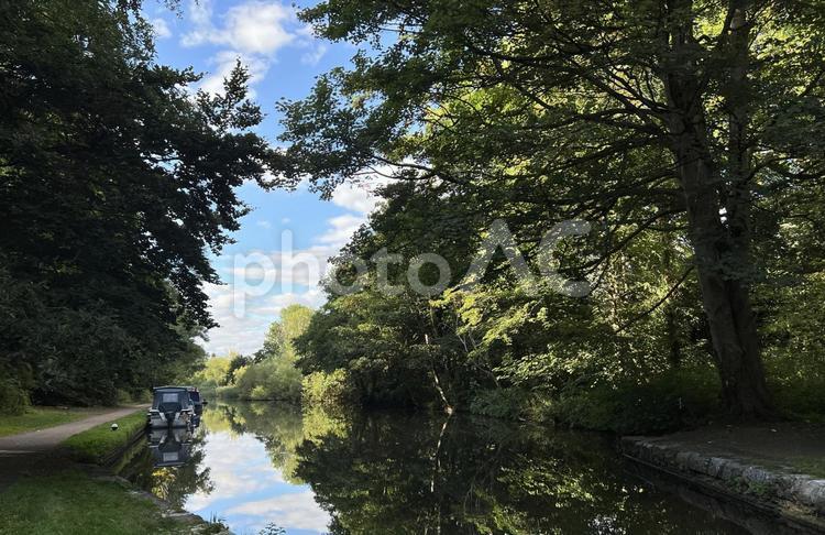 運河とナローボート　イギリス 運河,ナローボート,夏の写真素材