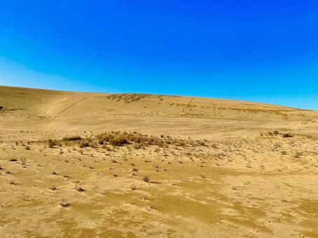鳥取砂丘 鳥取,鳥取砂丘,鳥取県の写真素材