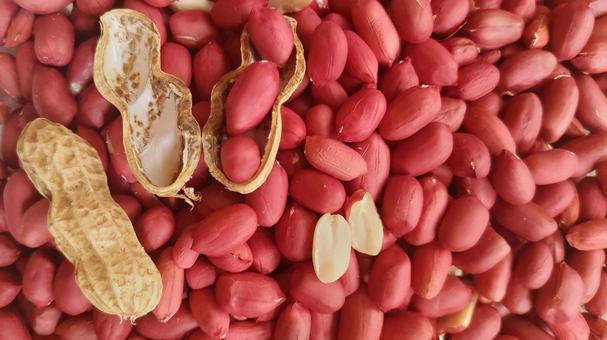 落花生 (16) 落花生,ピーナッツ,豆の写真素材