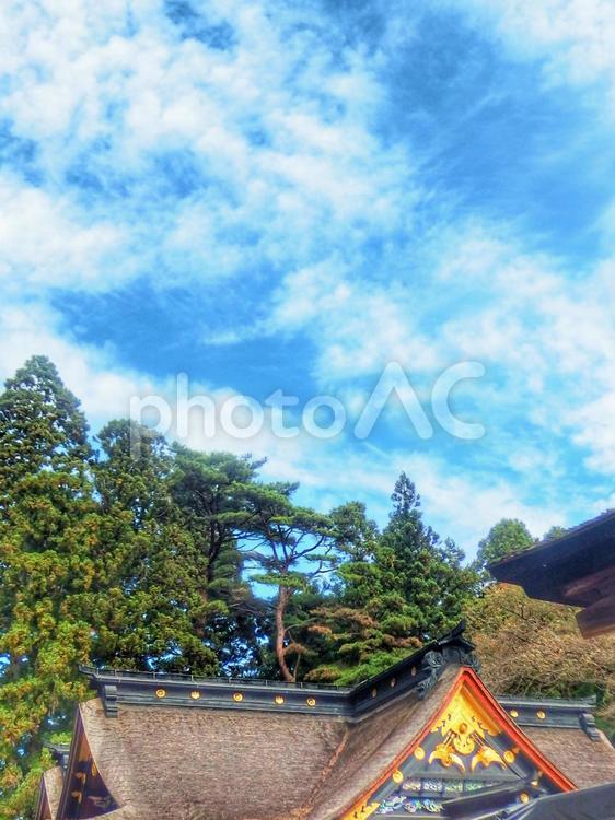 神社の上の青空 神社,青空,秋空の写真素材