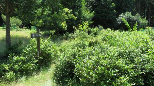 壬申の乱　野上行宮跡 壬申の乱,野上行宮,大海人皇子の写真素材