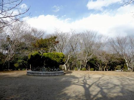 2月、早春の源氏山公園広場 2月、早春の源氏山公園広場 源氏山公園,広場,山頂の写真素材