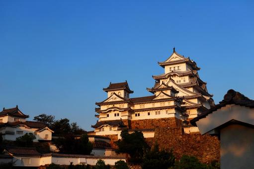 夕日に染まる姫路城 姫路城,城,お城の写真素材