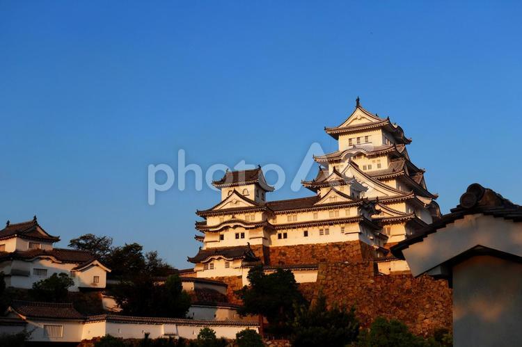 夕日に染まる姫路城 姫路城,城,お城の写真素材