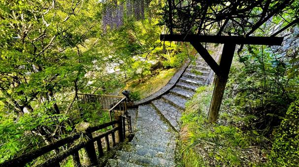 雄淵雌淵公園の奇石渓谷美 雄淵雌淵公園の奇石渓谷美 雄淵雌淵公園,佐賀市,古湯温泉の写真素材
