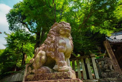 【岐阜】伊奈波神社 2025 【岐阜】伊奈波神社 2025の写真