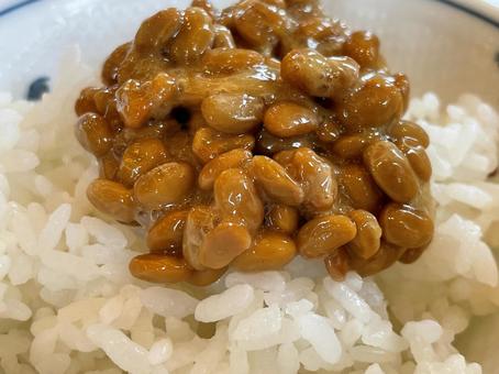 納豆ご飯 納豆ご飯の写真