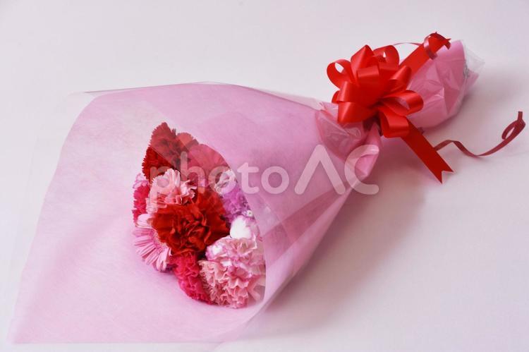 カーネーション　母の日 カーネーション,母の日,ピンクの写真素材