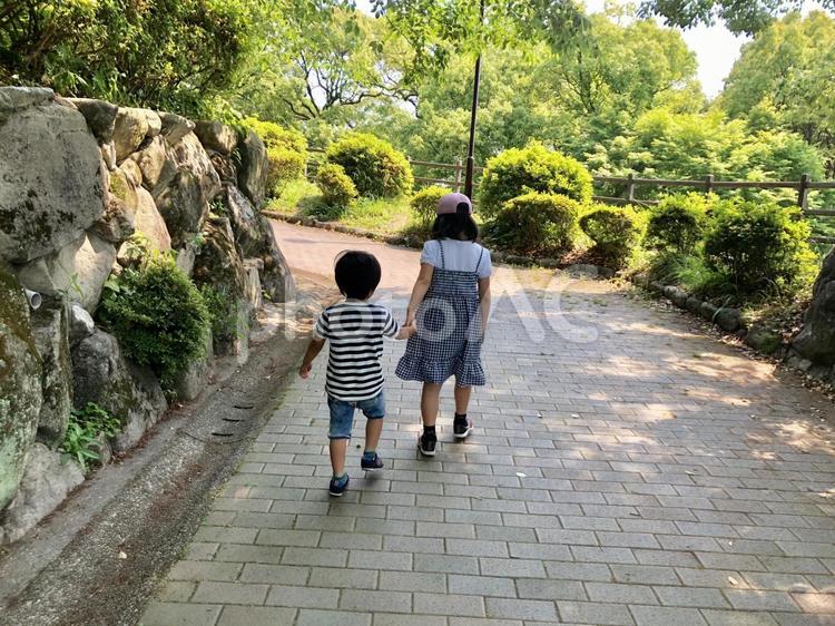 手を繋いで歩く姉弟 子供,兄弟,姉妹の写真素材