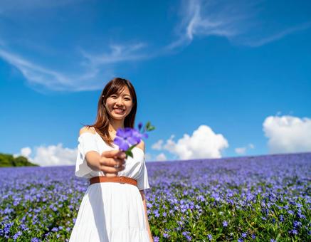ニチニチソウよ!夏空と笑顔の彼女 ニチニチソウよ!夏空と笑顔の彼女の写真