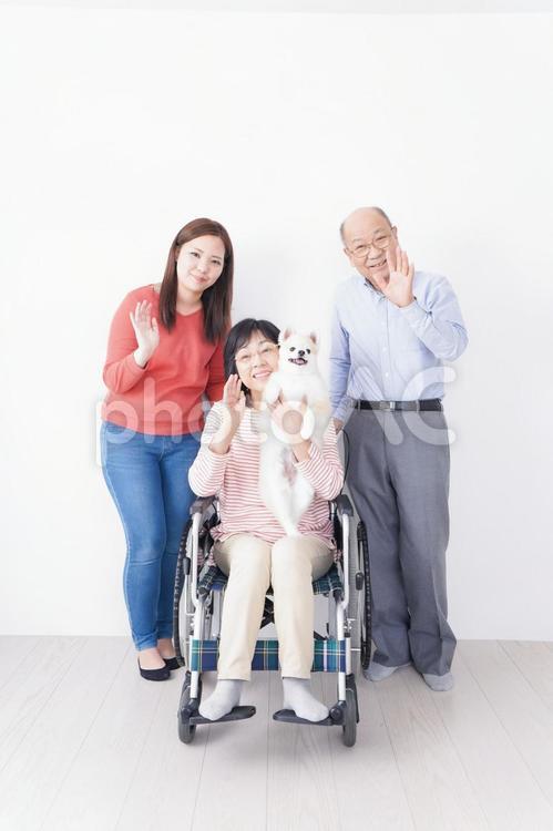 幸せそうな家族と犬 ファミリー,家族,コピースペースの写真素材