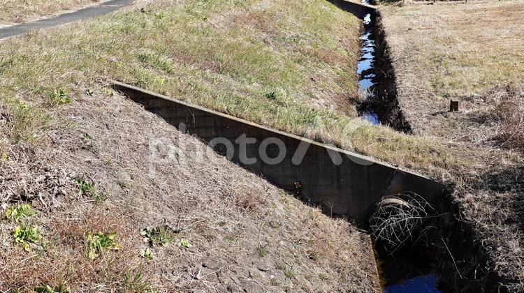 利根川の河川敷にある水路の橋 道,橋,河川敷の写真素材