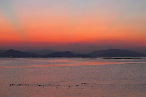 太陽がのぞく前の朝焼け 太陽がのぞく前の朝焼け 朝日,朝焼け,海の写真素材