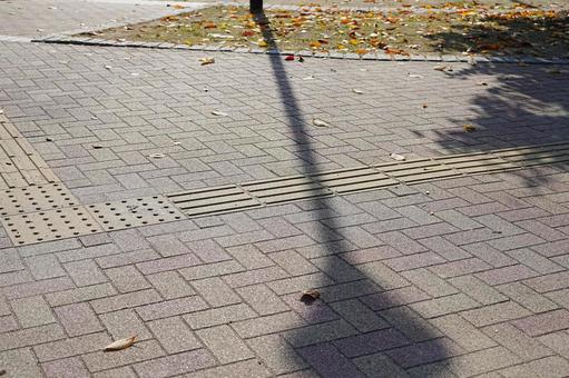 長く伸びた公園の街灯の影 影,街灯,公園の写真素材