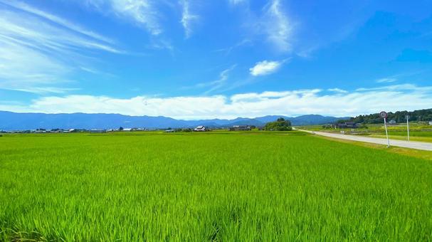 夏の田園風景(富山・南砺市):6 夏の田園風景(富山・南砺市):6の写真