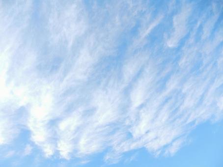 【空の写真】秋空 【空の写真】秋空 秋空,空,雲の写真素材