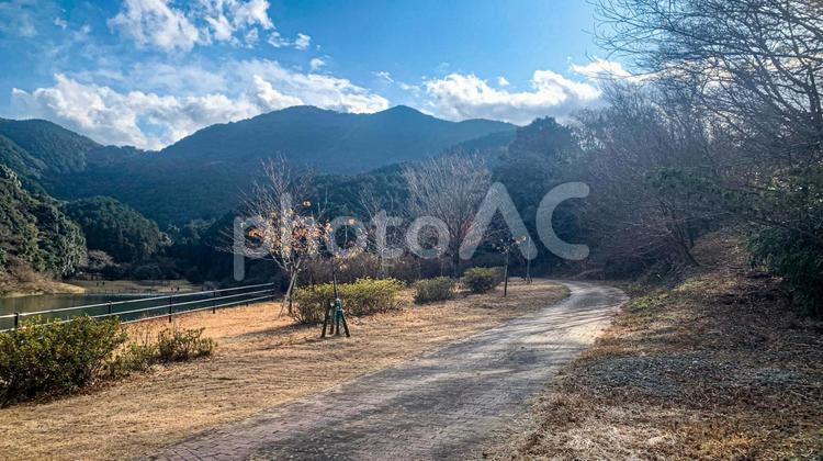 薬王寺水辺公園の風景 公園,自然,水辺の写真素材