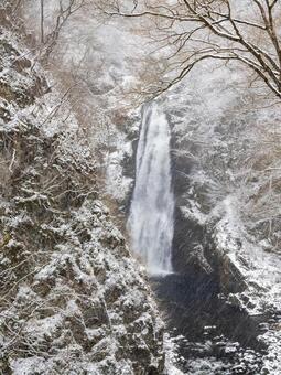 初冬の秋保大滝⑵ 滝,秋保大滝,名瀑の写真素材