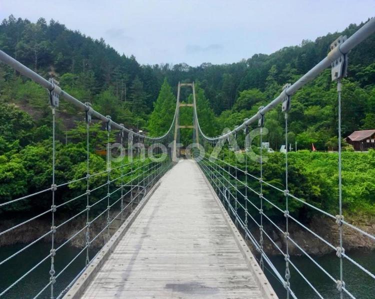 森の中の吊り橋 吊り橋,つり橋,自然の写真素材